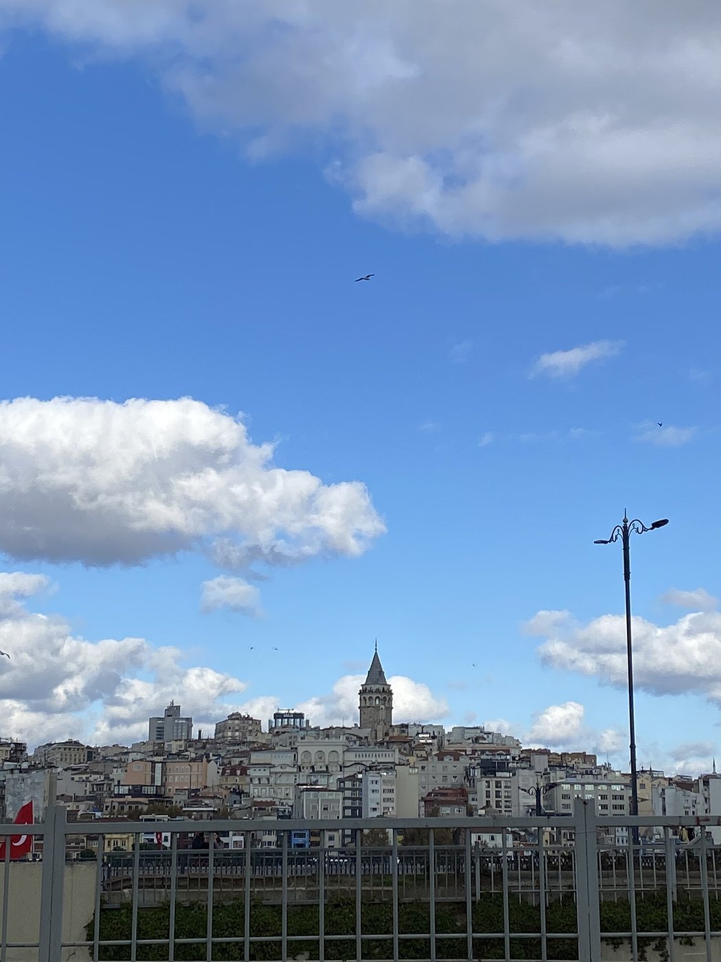 Panorama